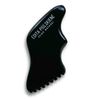 PAILGA MENTELĖ VEIDUI